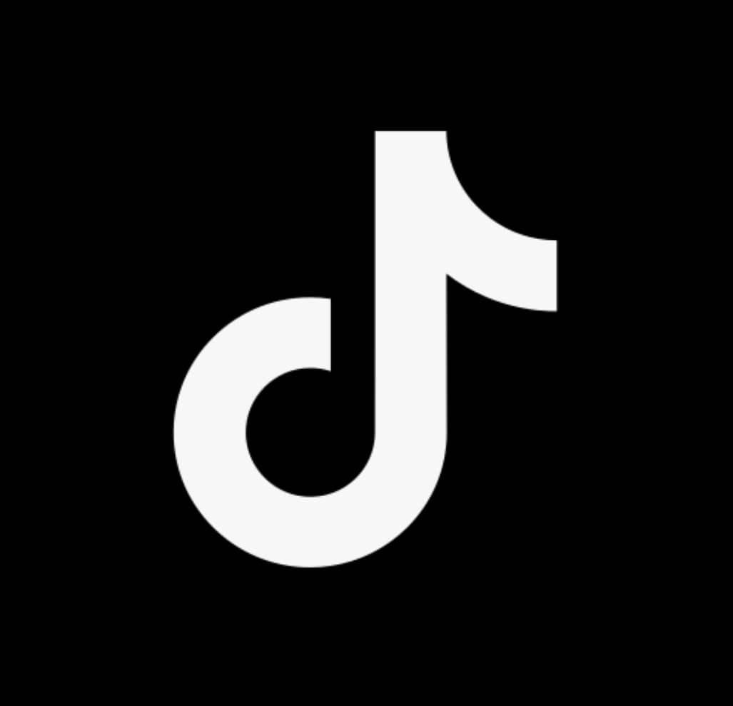 TikTok Icon